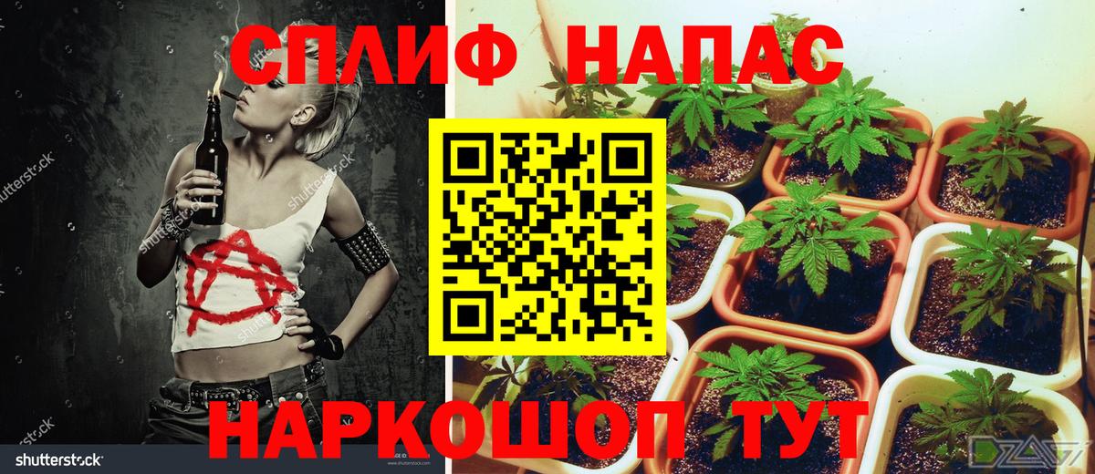Каннабис Bruce Banner Нягань